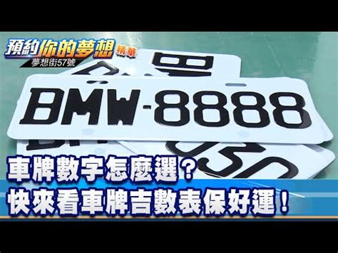 車牌英文好壞|車牌英文字母代表什麼？一篇整理車牌知識、特殊車牌。